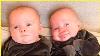 Best Video Of Funny Cute Twin Babies 9 Twin Baby Video