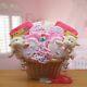 Double Delight Twins New Babies Gift Basket Pink