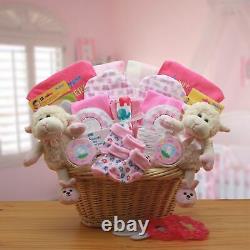 Double Delight Twins New Babies Gift Basket Pink