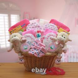 Double Delight Twins New Babies Gift Basket Pink baby bath set baby girl