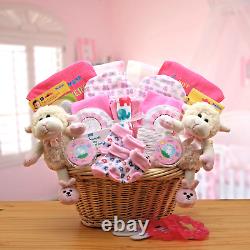 Double Delight Twins New Baby Girls Large Hamper Gift Basket from GBDS