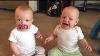 Funniest Twin Baby Girls Fighting Over Pacifier