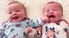 Funny Twins Baby Playing Together Funniest Baby Video