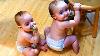 The Cutest Twin Babies On The Planet Funny Baby Videos Just Laugh