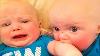 Double Problème Jumeaux Bébés Se Battent Et Jouent Ensemble Drôle Bébé Moment