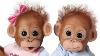 Double Trouble Poseable Baby Orangutan Twins Avec Wispy Cheveux
