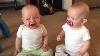 Les Bébés Jumeaux Se Battent Au-dessus De La Sucette