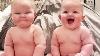 Les Meilleures Vidéos De Twin Babies Compilation Twins Funny Baby Video