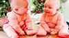 Vivez Une Double Mignonnerie Avec Des Bébés Jumeaux Dodus, Frais Et Pêche.